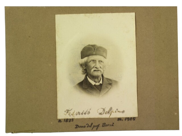 Anteprima dell'oggetto