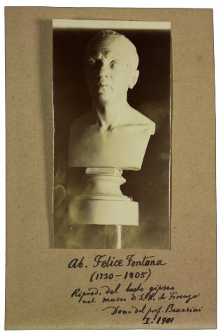 Anteprima dell'oggetto