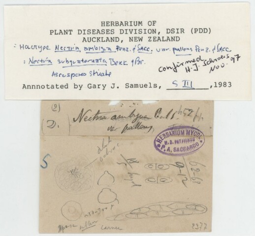 Anteprima dell'oggetto