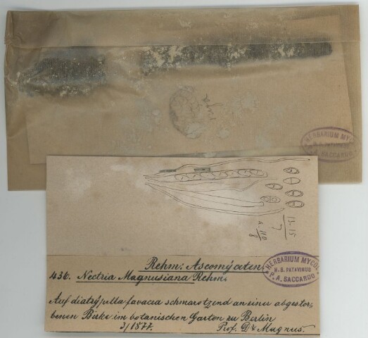 Anteprima dell'oggetto