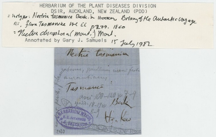 Anteprima dell'oggetto