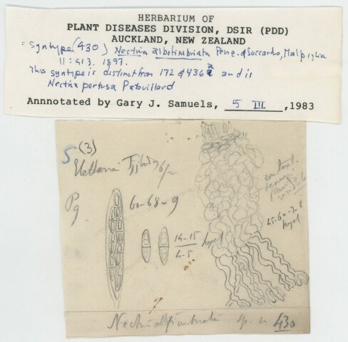 Anteprima dell'oggetto