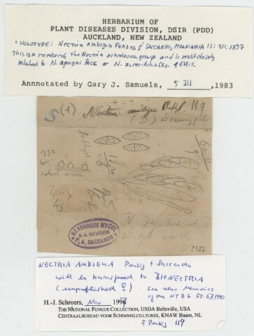 Anteprima dell'oggetto