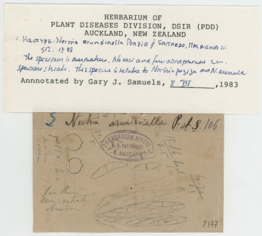 Anteprima dell'oggetto