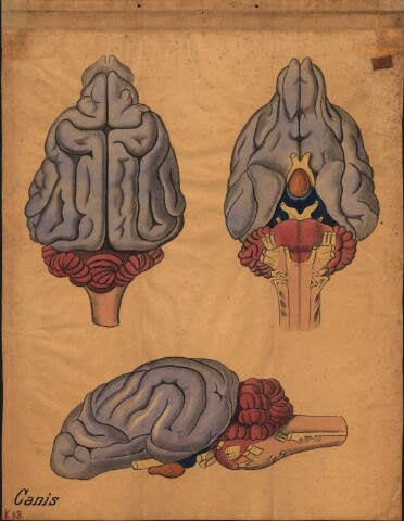 Anteprima dell'oggetto