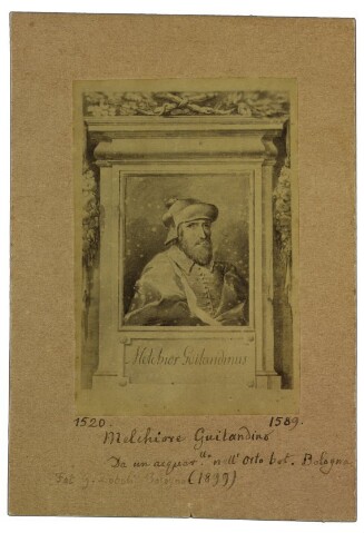 Anteprima dell'oggetto