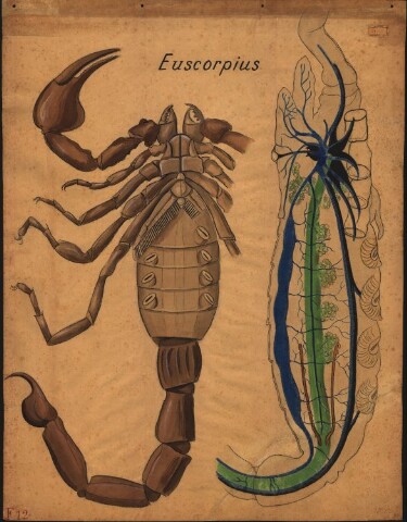 Anteprima dell'oggetto