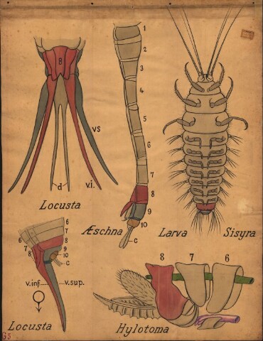 Anteprima dell'oggetto