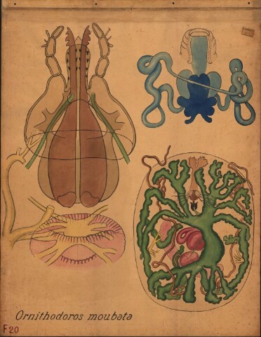 Anteprima dell'oggetto