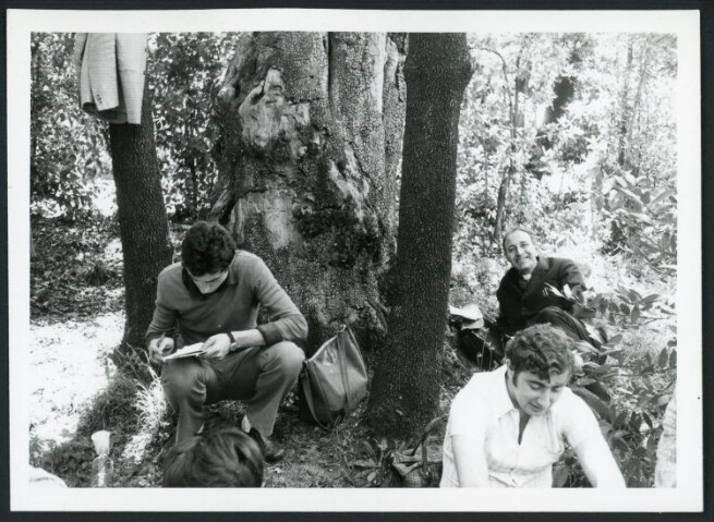 Anteprima dell'oggetto