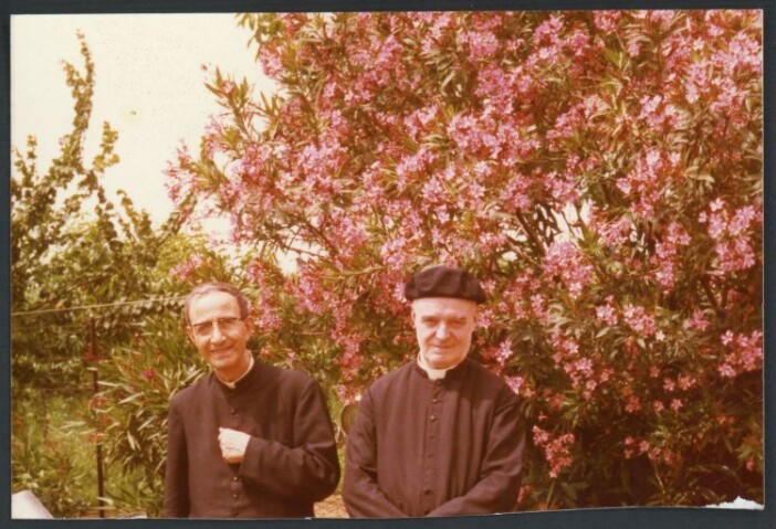 Anteprima dell'oggetto