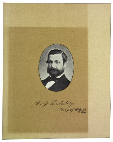 Anteprima dell'oggetto