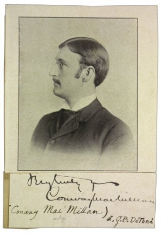 Anteprima dell'oggetto