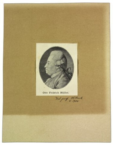 Anteprima dell'oggetto