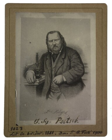 Anteprima dell'oggetto