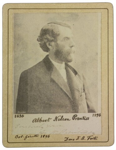 Anteprima dell'oggetto