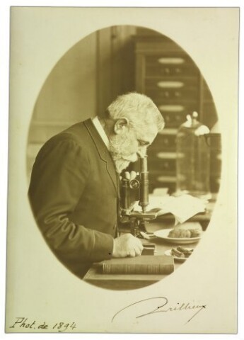 Anteprima dell'oggetto