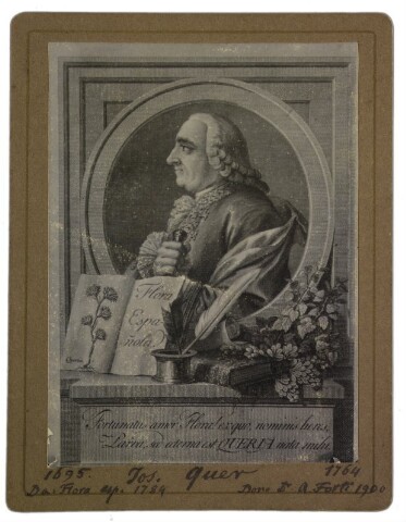 Anteprima dell'oggetto