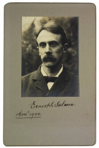 Anteprima dell'oggetto