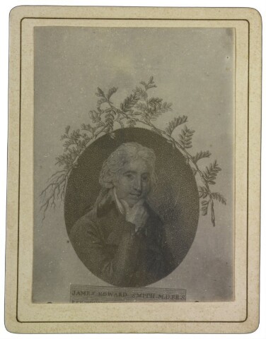 Anteprima dell'oggetto