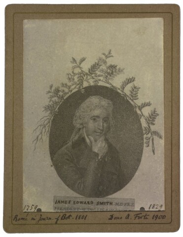 Anteprima dell'oggetto