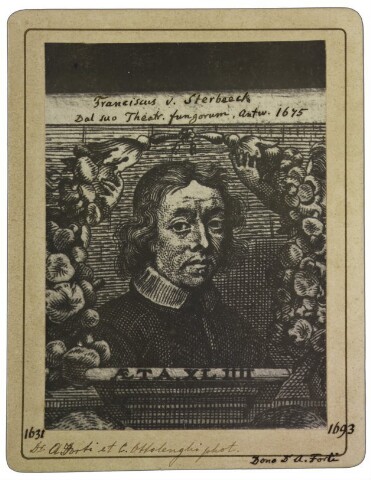 Anteprima dell'oggetto