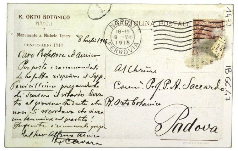 Anteprima dell'oggetto