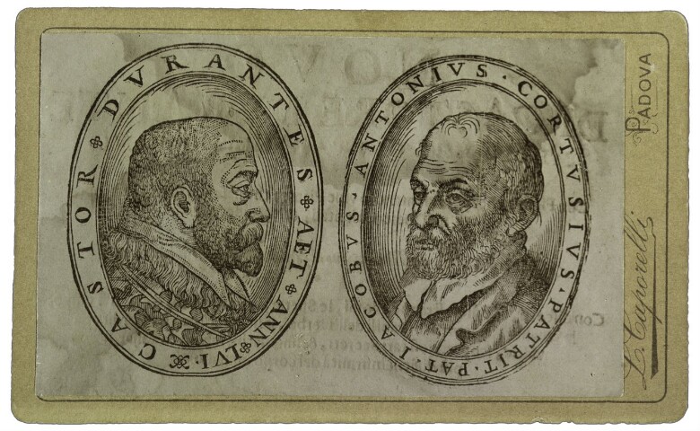 Anteprima dell'oggetto