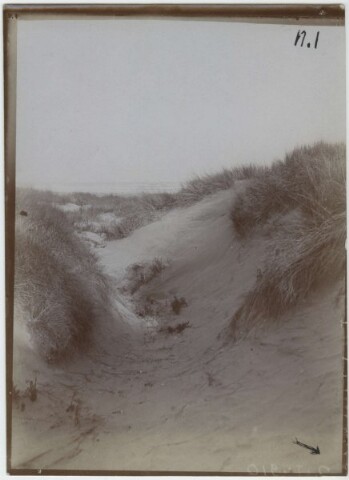 Anteprima dell'oggetto