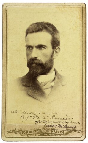 Anteprima dell'oggetto