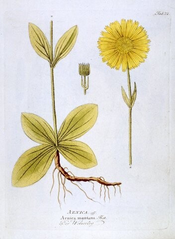 Anteprima dell'oggetto