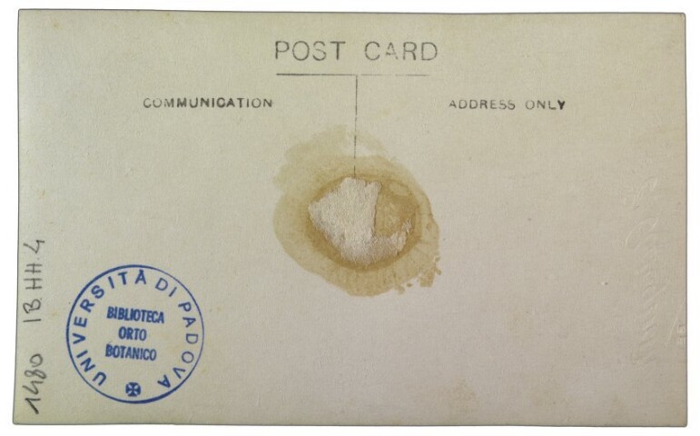 Anteprima dell'oggetto