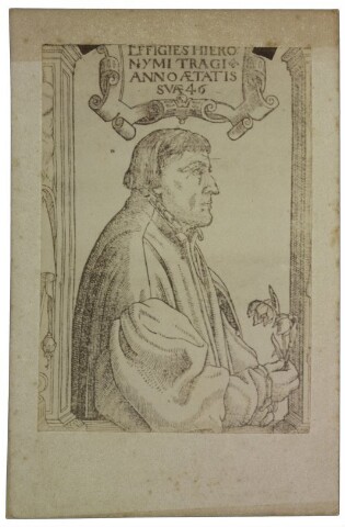 Anteprima dell'oggetto