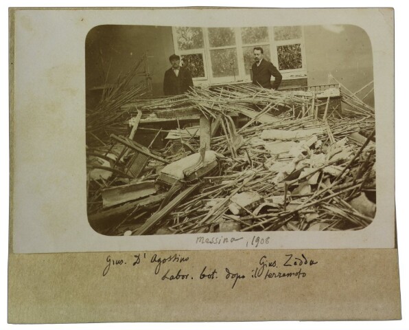 Anteprima dell'oggetto