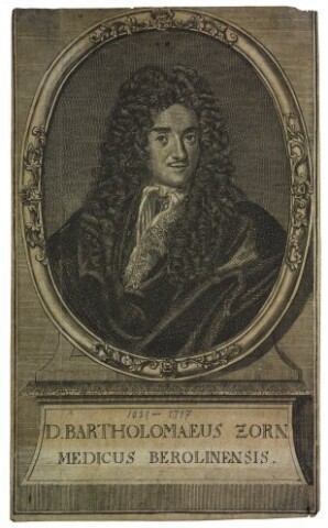 Anteprima dell'oggetto