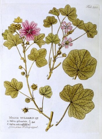 Anteprima dell'oggetto