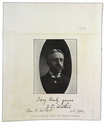 Anteprima dell'oggetto