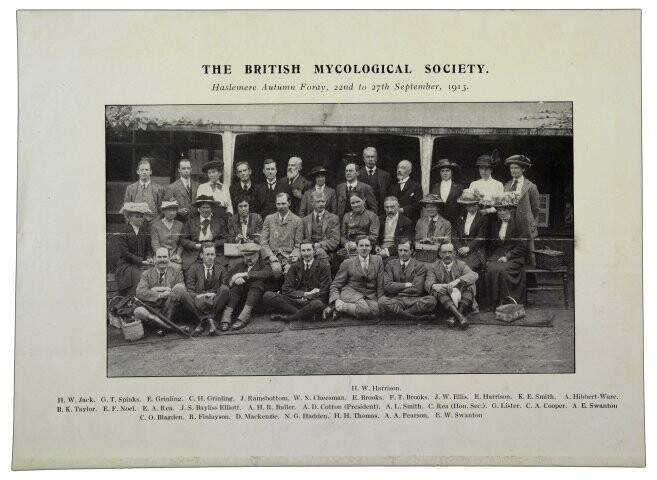 Anteprima dell'oggetto