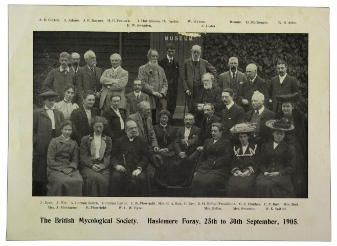 Anteprima dell'oggetto