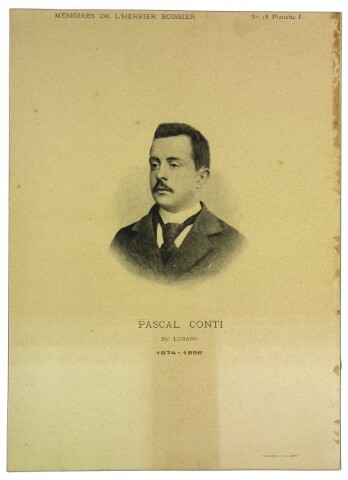 Anteprima dell'oggetto