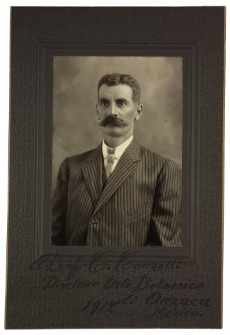 Anteprima dell'oggetto