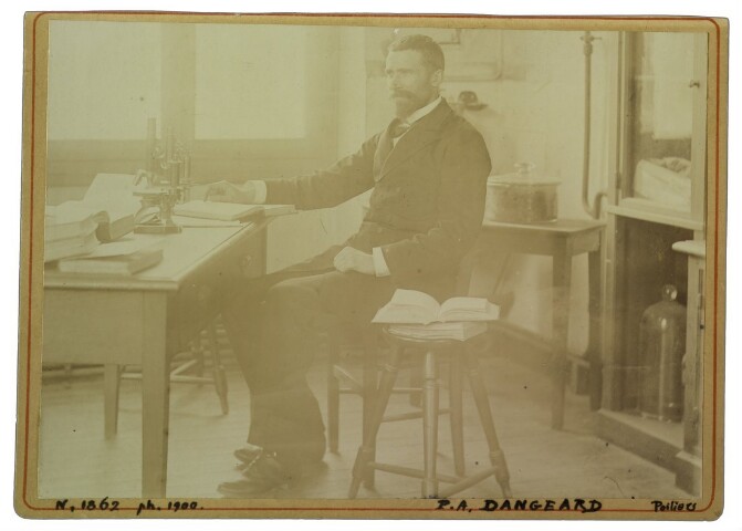 Anteprima dell'oggetto