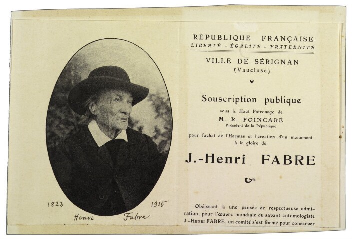 Anteprima dell'oggetto