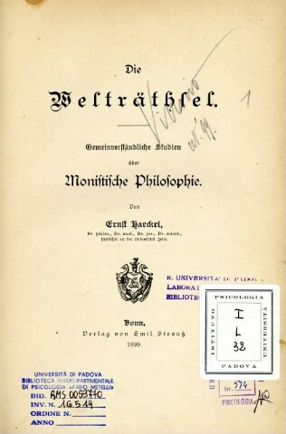 Anteprima dell'oggetto