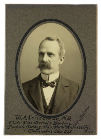 Anteprima dell'oggetto