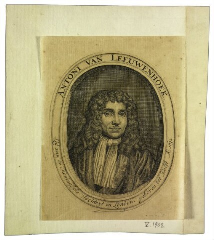 Anteprima dell'oggetto