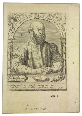 Anteprima dell'oggetto