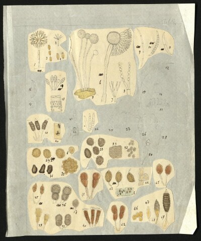 Anteprima dell'oggetto