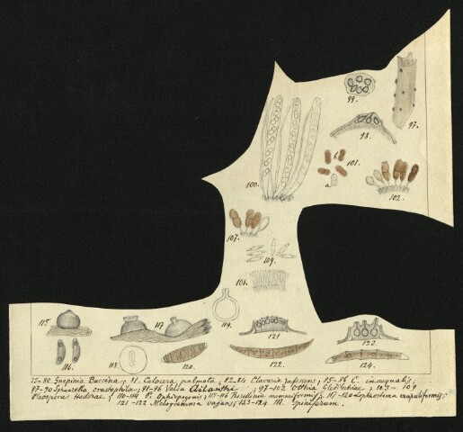 Anteprima dell'oggetto