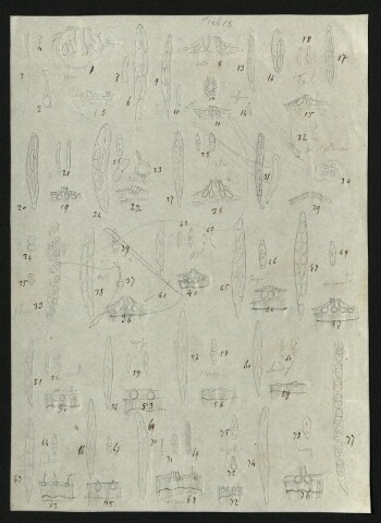 Anteprima dell'oggetto